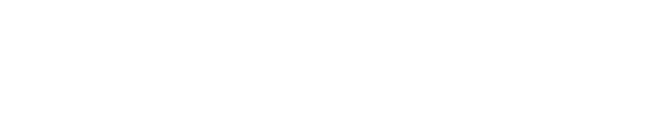 logo IMA Benelux blanc