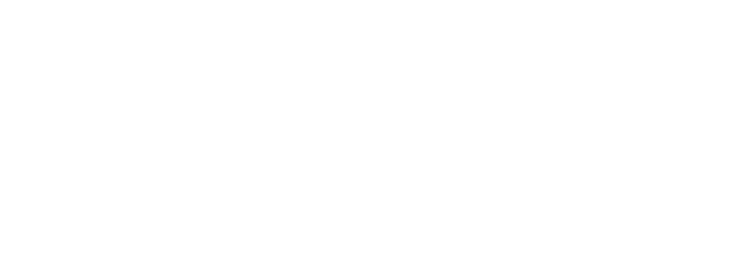 logo IMA Deutschland blanc
