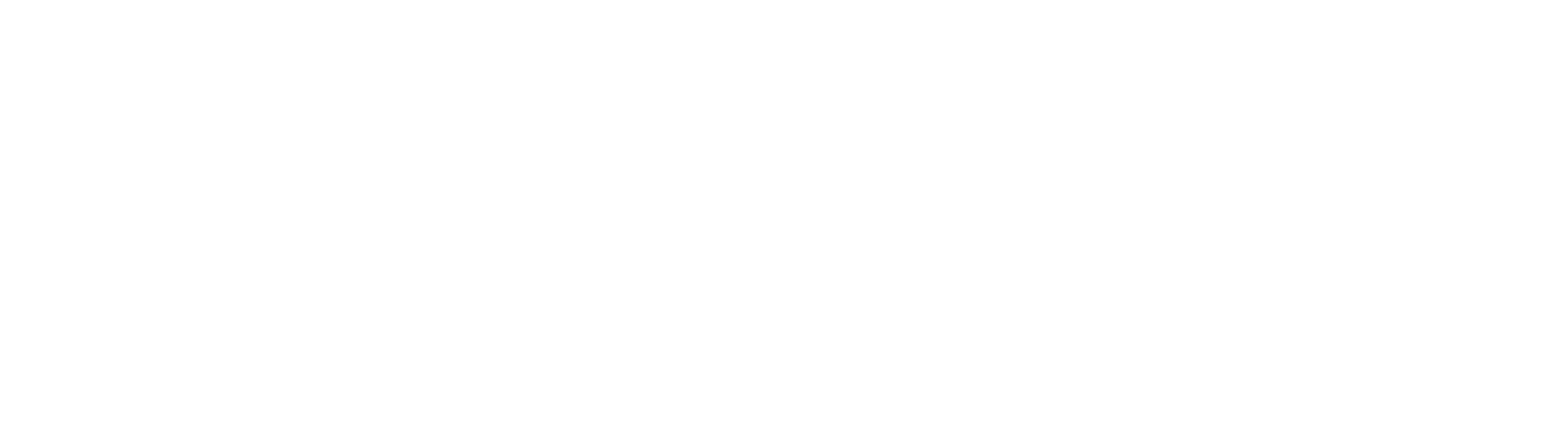 logo IMA Italia blanc