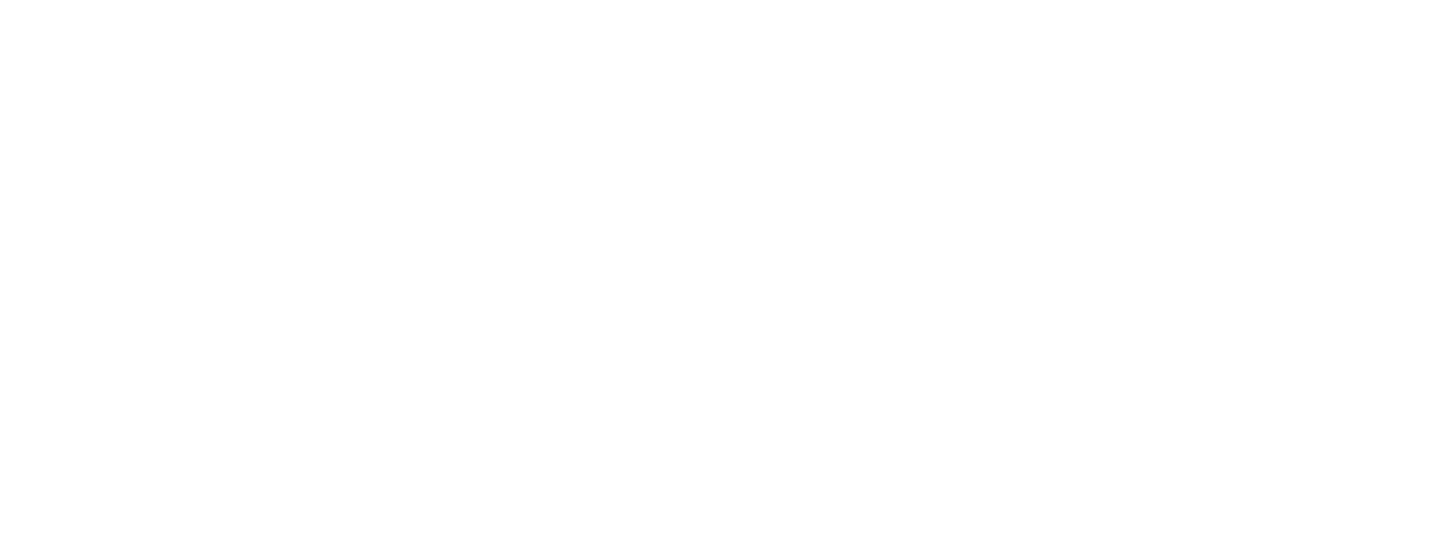 logo IMAPROTECT blanc