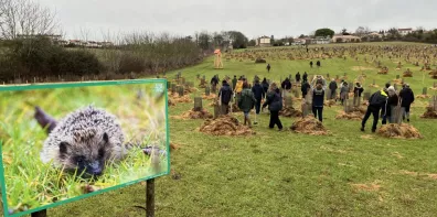 Personnes en train de planter des végétaux