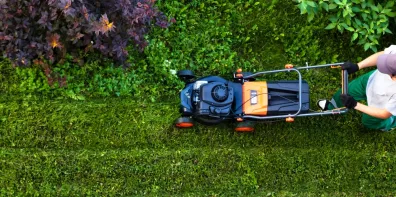 Tondeuse sur herbe 