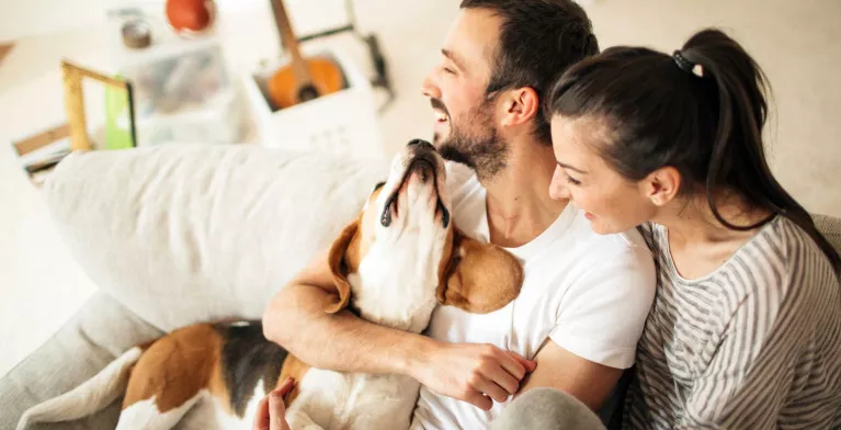 Clients télésurveillés par IMA Protect