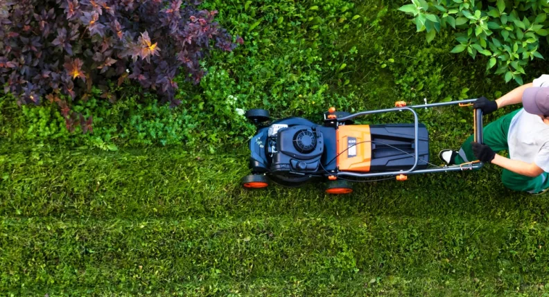 Tondeuse sur herbe 
