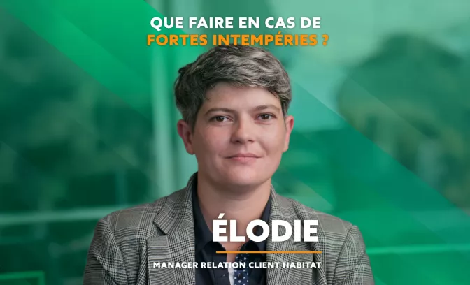Elodie manager relation client habitat
