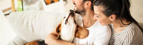 Clients télésurveillés par IMA Protect